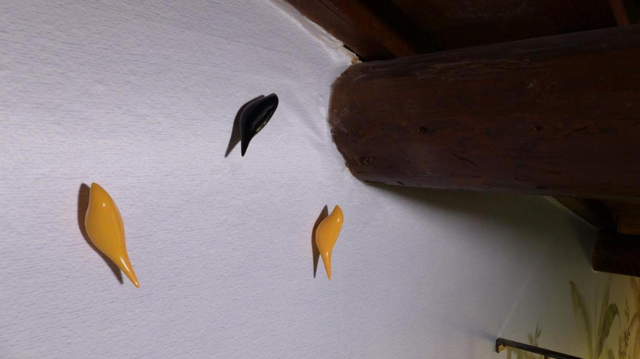 I Fiori Nel Golfo Di Barattiアパートメント エクステリア 写真